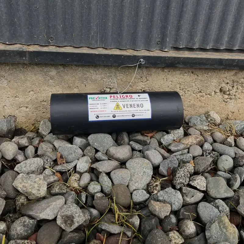 Estación cebadera PREVNTIVA instalada sobre piedras junto a un galpón